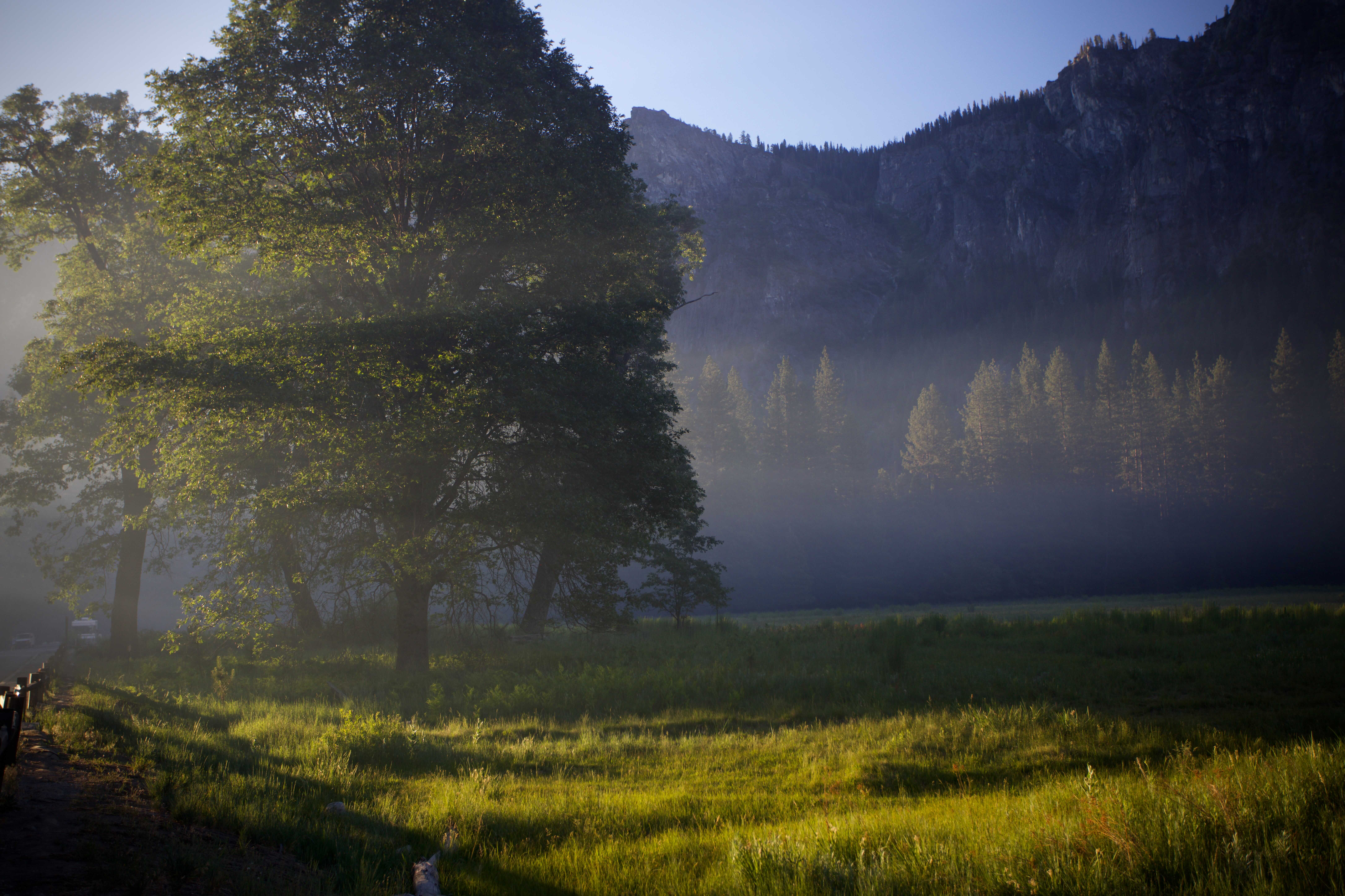 El Capitan Meadow at Dawn ©John Click