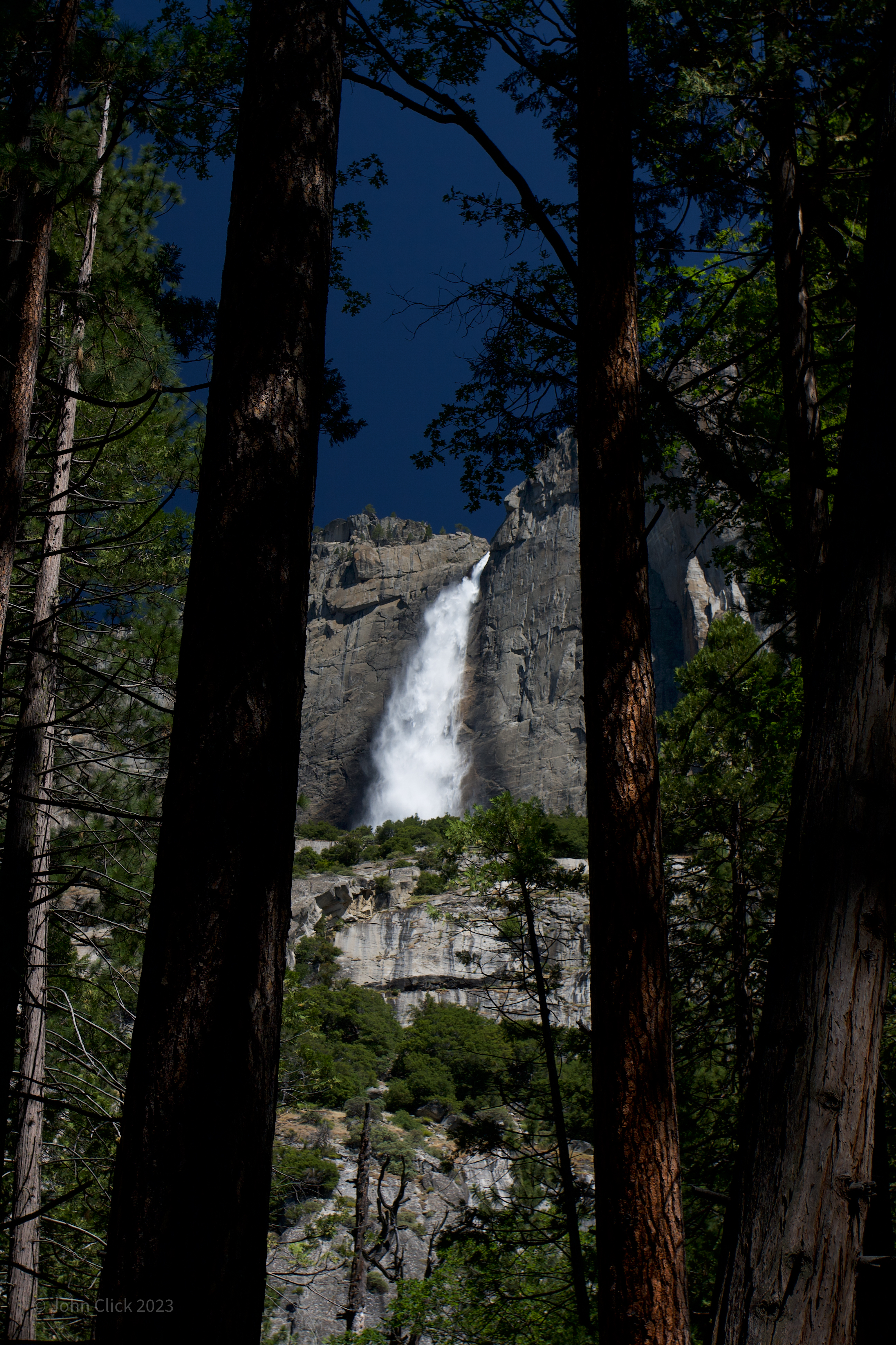 Yosemite Falls Through Treeline ©John Click